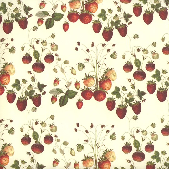 Petite Strawberries Print Italian Paper ~ Leonardo Communication